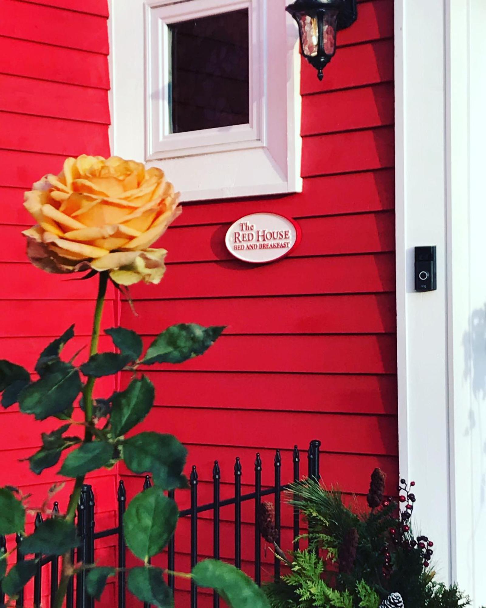 The Red House Fredericton Bed and Breakfast Eksteriør billede